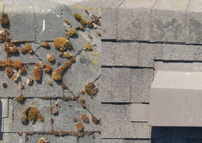 Pressure Washing Maple Ridge BC