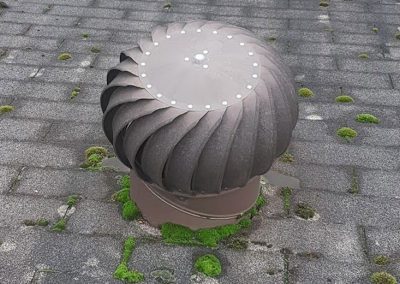 Moss Removal Maple Ridge BC