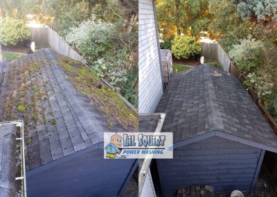 Roof Cleaning Gallery