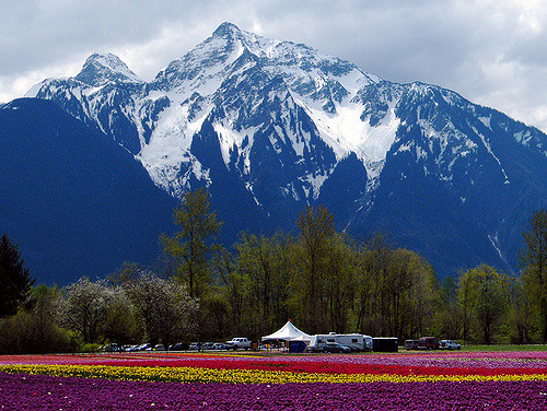 Pressure Washing Chilliwack