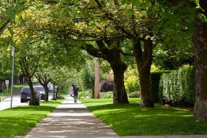 Pressure Washing New Westminster