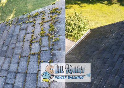 Cham roof before after