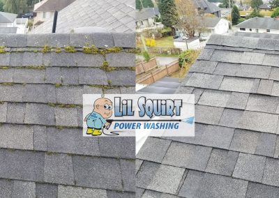 Walls roof before after