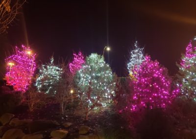 Christmas Light Installation