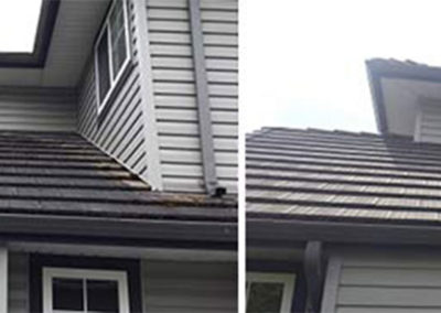 Lil Squirt Power Washing