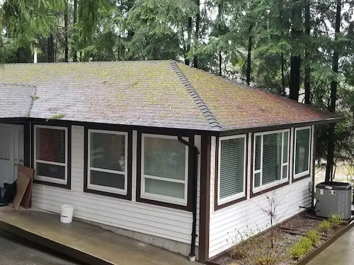 Before roof cleaning Before roof cleaning and moss removal in Maple Ridge BC